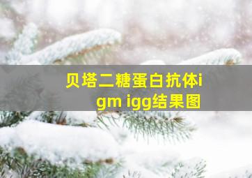 贝塔二糖蛋白抗体igm igg结果图